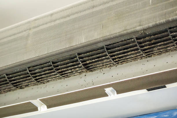 Best Ductwork Cleaning Services  in West View, PA